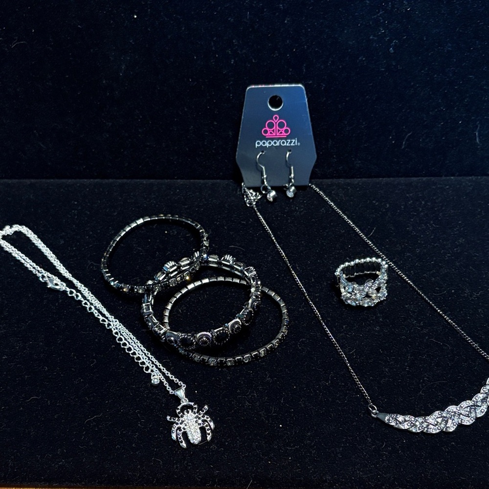 Paparazzi Elegant Silver and Black Earrings